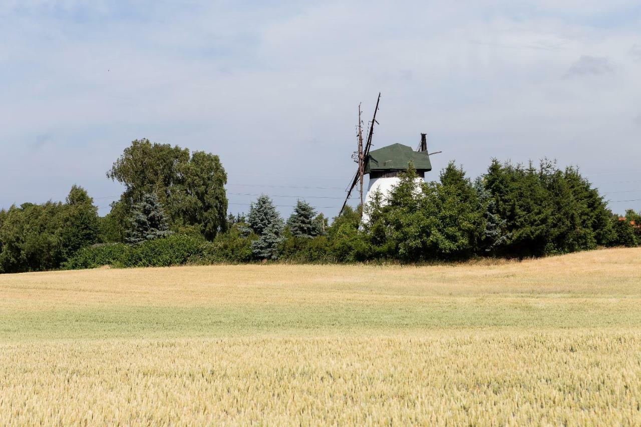 Windmill Vacation Home In Ledzin Near Baltic Sea Niechorze Exterior photo