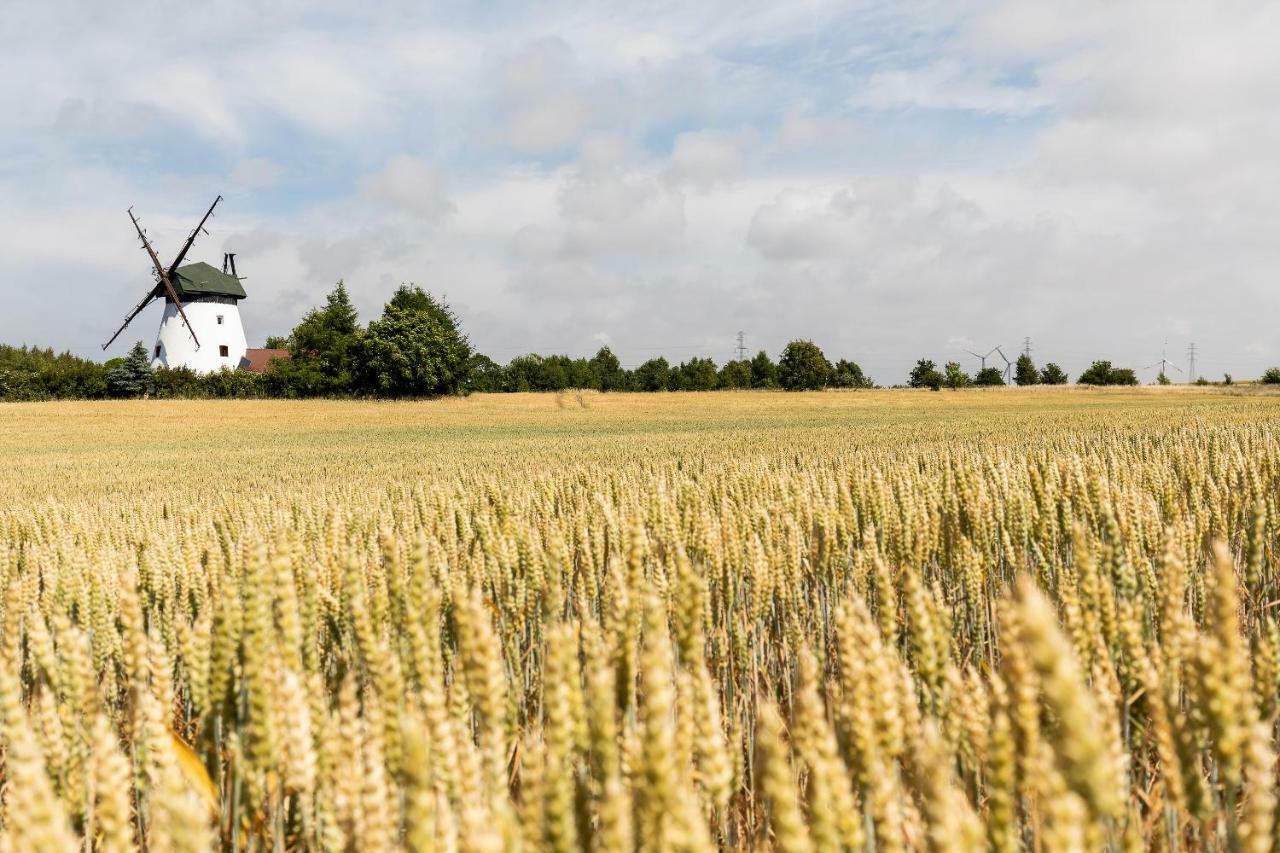 Windmill Vacation Home In Ledzin Near Baltic Sea Niechorze Exterior photo